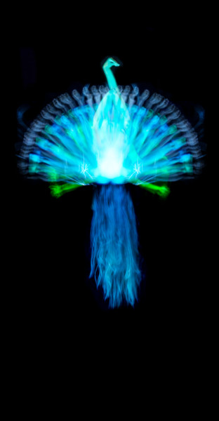 Nouveau Monde Photographie intitulée "Nouveau Monde" par Yoann Carnoy, Œuvre d'art originale, Light Painting