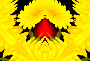 Digitale Kunst mit dem Titel "Flowers of Life" von Yolidimages, Original-Kunstwerk, 2D digitale Arbeit