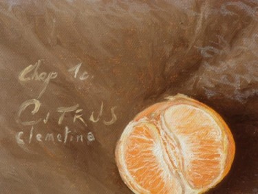 Painting titled "Citrus" by Yona, Original Artwork