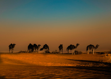 Fotografia intitolato "Sahara.jpg" da Youcef Sebaa, Opera d'arte originale