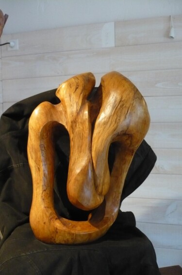 Sculptuur getiteld "p1020689.jpg" door Youn Capitaine, Origineel Kunstwerk