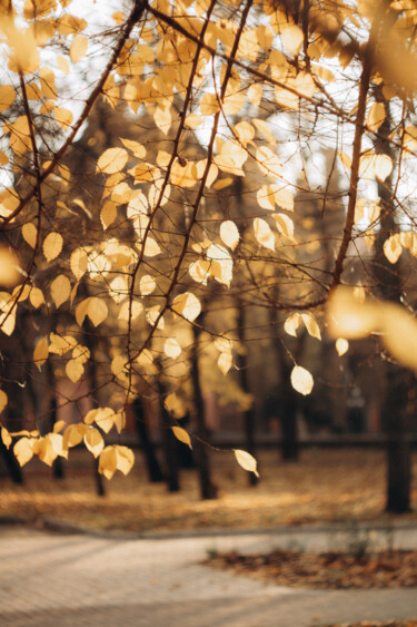 Photography titled "Cosy autumn" by Liza Glagoleva, Original Artwork, Digital Photography
