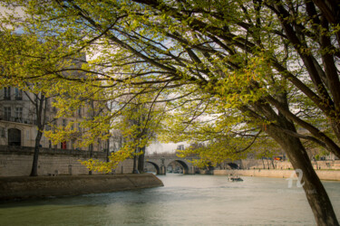 Фотография под названием "La Seine" - Yasmine Rafii, Подлинное произведение искусства, Цифровая фотография