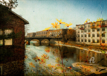 Fotografia intitulada "Fox River Daisies" por Yasmine Rafii, Obras de arte originais, Fotografia Manipulada