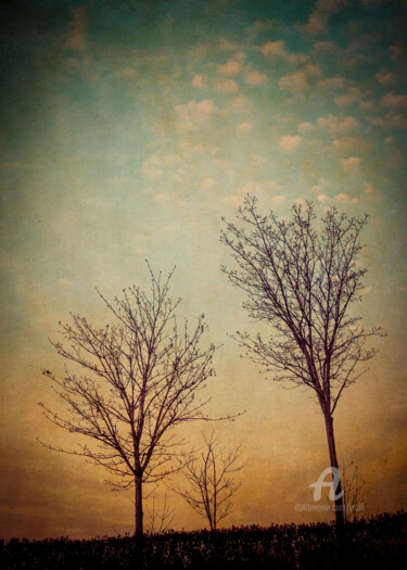 Fotografie mit dem Titel "Two Trees" von Yasmine Rafii, Original-Kunstwerk, Manipulierte Fotografie