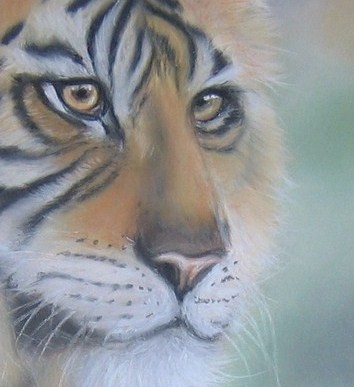 Peinture intitulée "tigre" par Isabelle Charpentier, Œuvre d'art originale, Huile