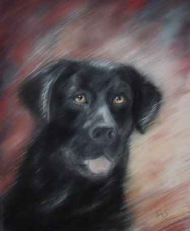 Peinture intitulée "labrador" par Isabelle Charpentier, Œuvre d'art originale, Huile