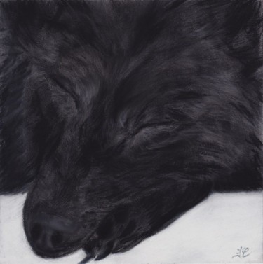 Peinture intitulée "loup dormant" par Isabelle Charpentier, Œuvre d'art originale