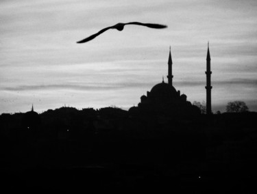 Fotografía titulada "Istanbul" por Erdinc Yucel, Obra de arte original, Fotografía digital
