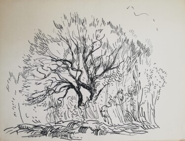 Disegno intitolato "Old tree" da Yulia Aks, Opera d'arte originale, Inchiostro
