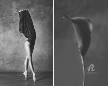 Фотография под названием "Calla / Калла" - Юлия Артемьева, Подлинное произведение искусства, Цифровая фотография