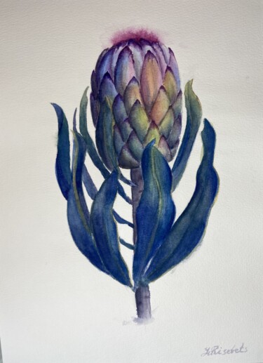 Painting titled "Protea" by Yulia Risevets, Original Artwork, Watercolor