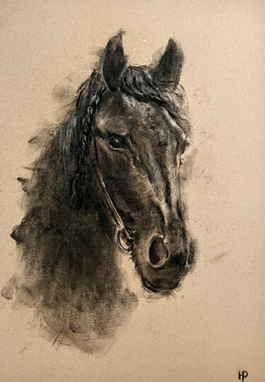 Disegno intitolato "Portrait of a horse…" da Yulia Risevets, Opera d'arte originale, Carbone