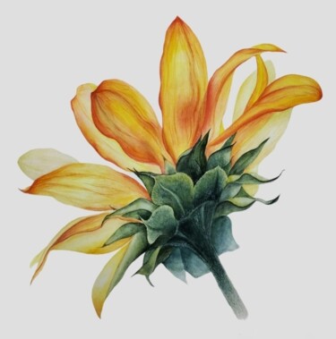 Painting titled "Sunflower flower" by Yulia Zhevnova, Original Artwork, Watercolor