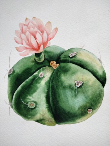 Schilderij getiteld "Cactus" door Yulia Zhevnova, Origineel Kunstwerk, Aquarel