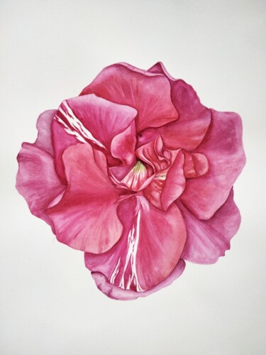 Painting titled "Oleander" by Yulia Zhevnova, Original Artwork, Watercolor