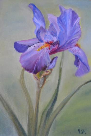 Peinture intitulée "Iris" par Yulia Sheverova, Œuvre d'art originale, Huile Monté sur Carton