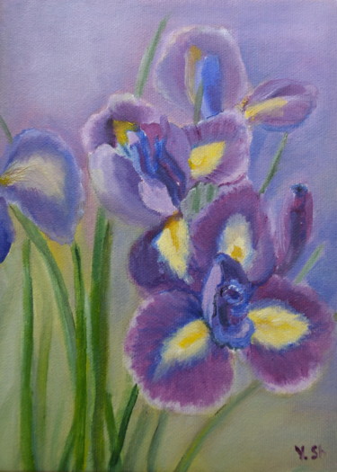 Картина под названием "Irises" - Yulia Sheverova, Подлинное произведение искусства, Масло