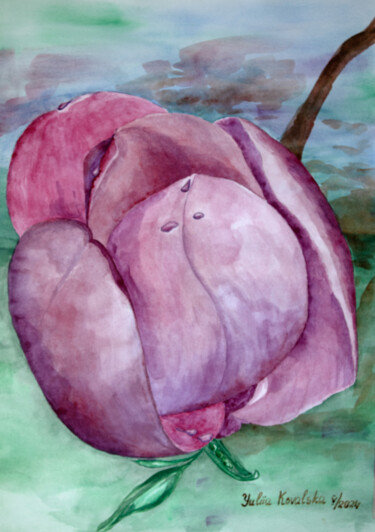 绘画 标题为“Magnolia flower” 由Yuliia Kovalska, 原创艺术品, 水彩
