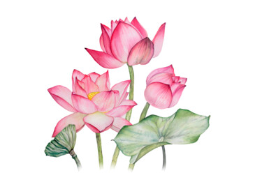 Картина под названием "Цветок лотоса" - Yuliya Chshipachyova, Подлинное произведение искусства, Акварель