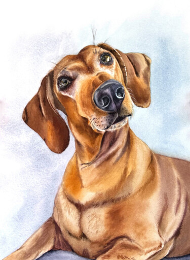 Painting titled "Datchshund portrait" by Yuliya Ozdemir, Original Artwork, Watercolor