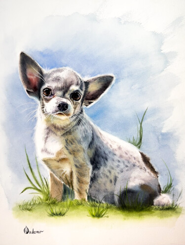 Malarstwo zatytułowany „Chihuahua portrait” autorstwa Yuliya Ozdemir, Oryginalna praca, Akwarela