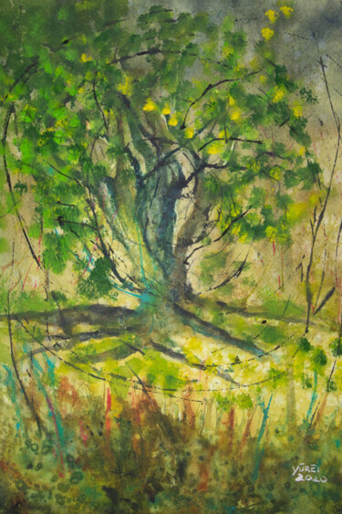 Peinture intitulée "The Olive (L'Ulivo)" par Yūrei, Œuvre d'art originale, Aquarelle