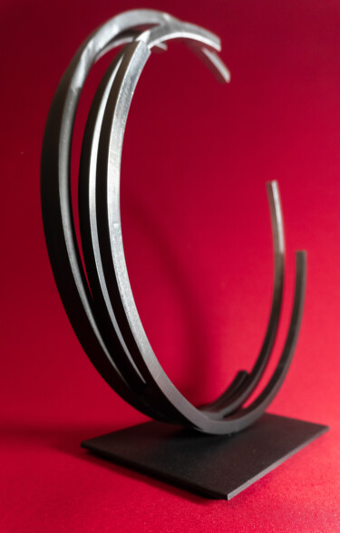 Escultura titulada "***Perpetual Circle…" por Yuriy Kraft, Obra de arte original, Metales