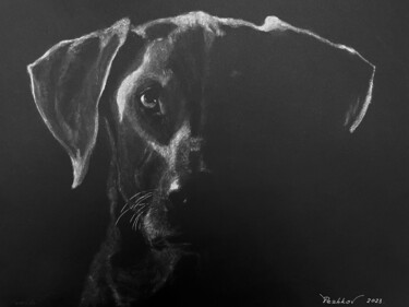 Картина под названием "Labrador" - Yury Peshkov, Подлинное произведение искусства, Масло