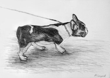 Dessin intitulée "French Bulldog" par Yury Smirnov, Œuvre d'art originale, Graphite