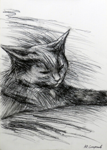 Dessin intitulée "Cat №2" par Yury Smirnov, Œuvre d'art originale, Fusain
