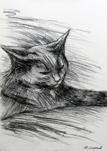 Tekening getiteld "Cat №2" door Yury Smirnov, Origineel Kunstwerk, Houtskool