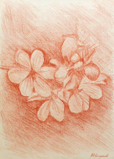 Dessin intitulée "Blooming Thorn" par Yury Smirnov, Œuvre d'art originale, Conté