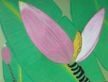 Zeichnungen mit dem Titel "Fleur de Bananier" von Yveline Tyaketou - Roquet, Original-Kunstwerk, Pastell
