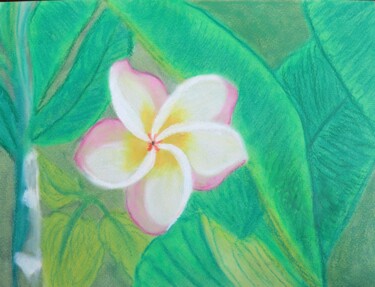 Картина под названием "Fleur de Frangipani…" - Yveline Tyaketou - Roquet, Подлинное произведение искусства, Пастель