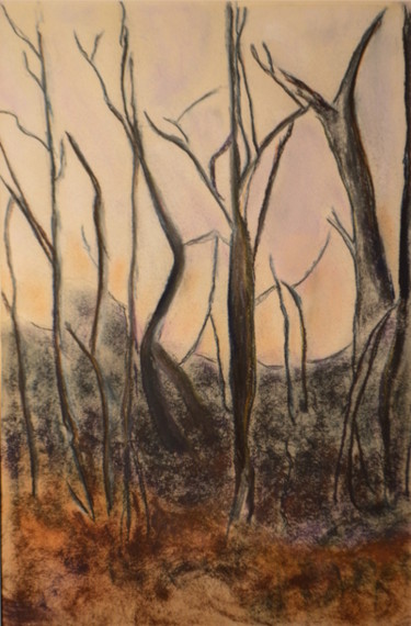 Peinture intitulée "Forêt interdite" par Yves-Gabriel Willaert, Œuvre d'art originale, Pastel