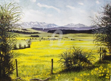 Peinture intitulée "" Libres Prairies "" par Yves Lafond, Œuvre d'art originale, Aquarelle Monté sur Panneau de bois