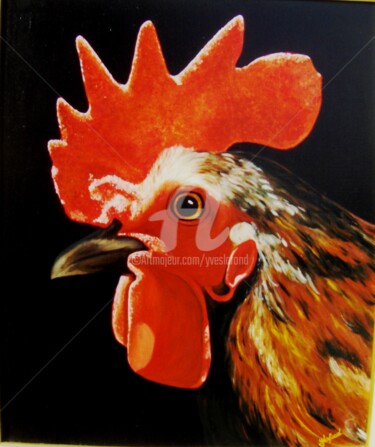 Painting titled ""Coq de nos campagn…" by Yves Lafond, Original Artwork, Oil