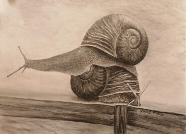 Painting titled "Escargots" by Yves Marie Teiller, Original Artwork, Charcoal