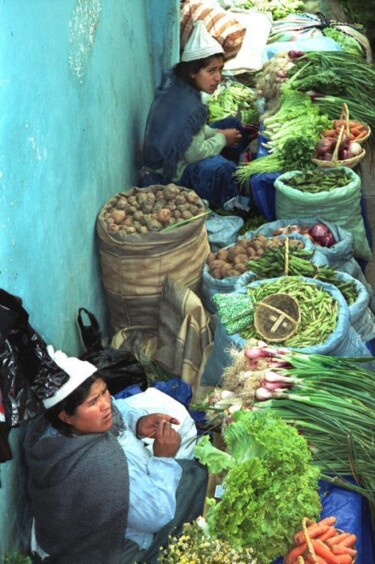 Photographie intitulée "Dessous d'Andes_16" par Yvon Mouster, Œuvre d'art originale