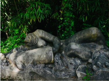 Photographie intitulée "Nature vivante" par Zael, Œuvre d'art originale, Photographie numérique