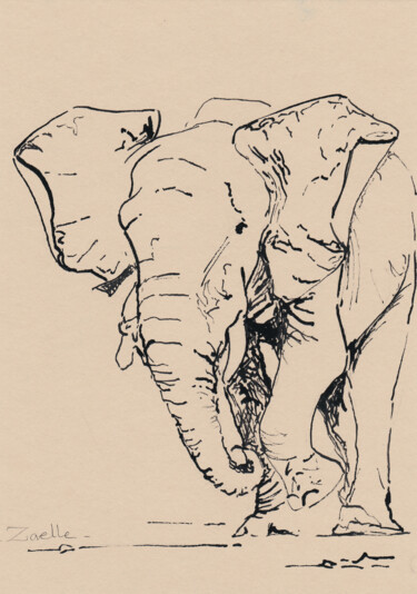Peinture intitulée "Esquisse éléphant" par Elsa Ducourret (Zaelle), Œuvre d'art originale, Encre