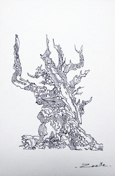 "Arbre tortueux" başlıklı Tablo Elsa Ducourret (Zaelle) tarafından, Orijinal sanat, Mürekkep