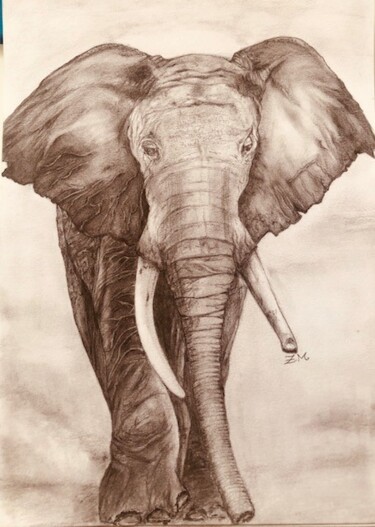 Dessin intitulée "elephant" par Mounir Zakaria, Œuvre d'art originale, Crayon