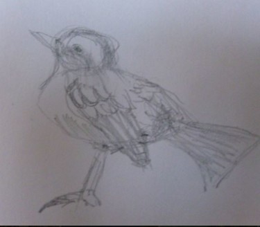 「little-bird.jpg」というタイトルの描画 Dominique Hoffmanによって, オリジナルのアートワーク, 鉛筆