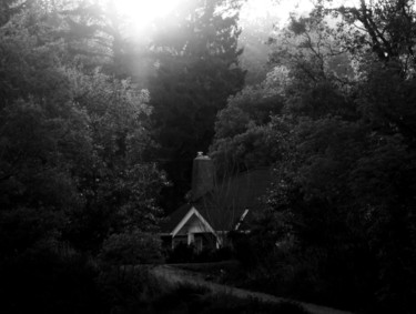 Photographie intitulée "Deep-in-Woods" par Zed Tomas Tom, Œuvre d'art originale, Photographie numérique
