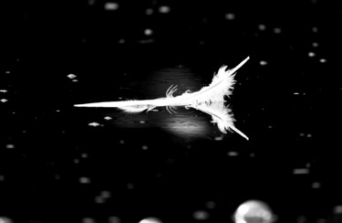 Photography titled "Feather-touch" by Zed Tomas Tom, Original Artwork, Digital Photography