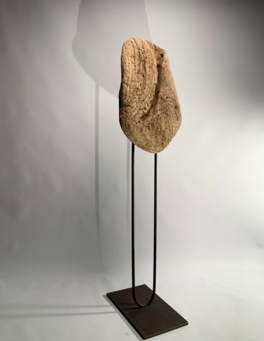 Skulptur mit dem Titel "Indian soul" von Zenzivi Nora Yahiaoui, Original-Kunstwerk, Holz
