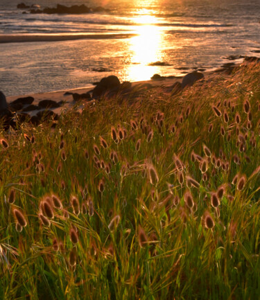 Photographie intitulée "Sunset" par Zeroual Vincent, Œuvre d'art originale, Photographie non manipulée