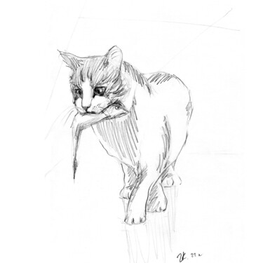 Painting titled "Cat Sketch Animal D…" by Zhanna Kan, Original Artwork, Graphite
